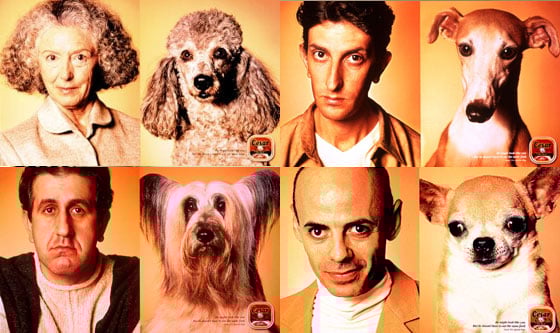 2000년 칸 국제광고제에서 수상한 동물사료업체 시저(Cesar)의 광고.