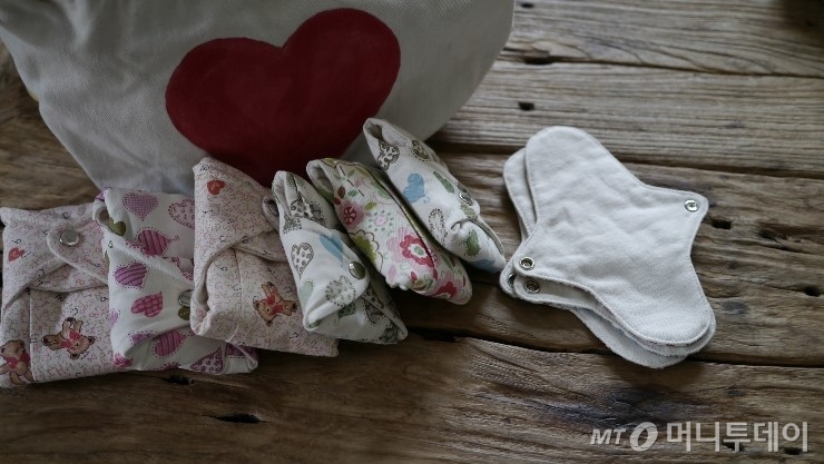 생리대의 대안으로 주목 받고 있는 면생리대. 가수 이효리도 면생리대 사용자라고 밝혀 화제를 모았다. /사진=이효리 블로그