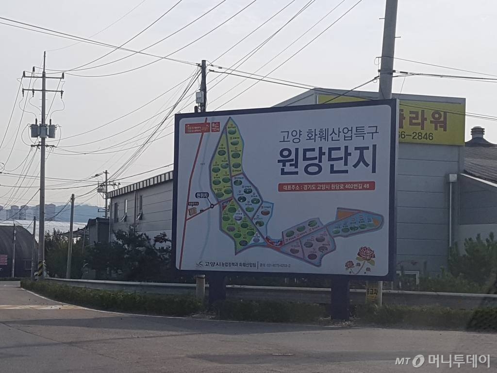 청탁금지법 1년을 앞둔 지난 22일 경기도 고양시 덕양구 원당동·주교동 일대에 위치한 고양화훼단지 모습.