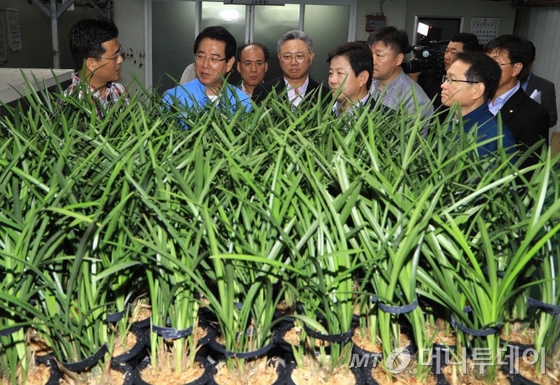 김영록 농림축산식품부 장관이 8일 경기 고양시 한 화훼농가를 찾아 청탁금지법 시행 이후 어려움을 겪고 있는 화훼농가를 격려하고 애로사항을 청취하고 있다. (농림축산식품부 제공) 2017.7.8/뉴스1  <저작권자 © 뉴스1코리아, 무단전재 및 재배포 금지>