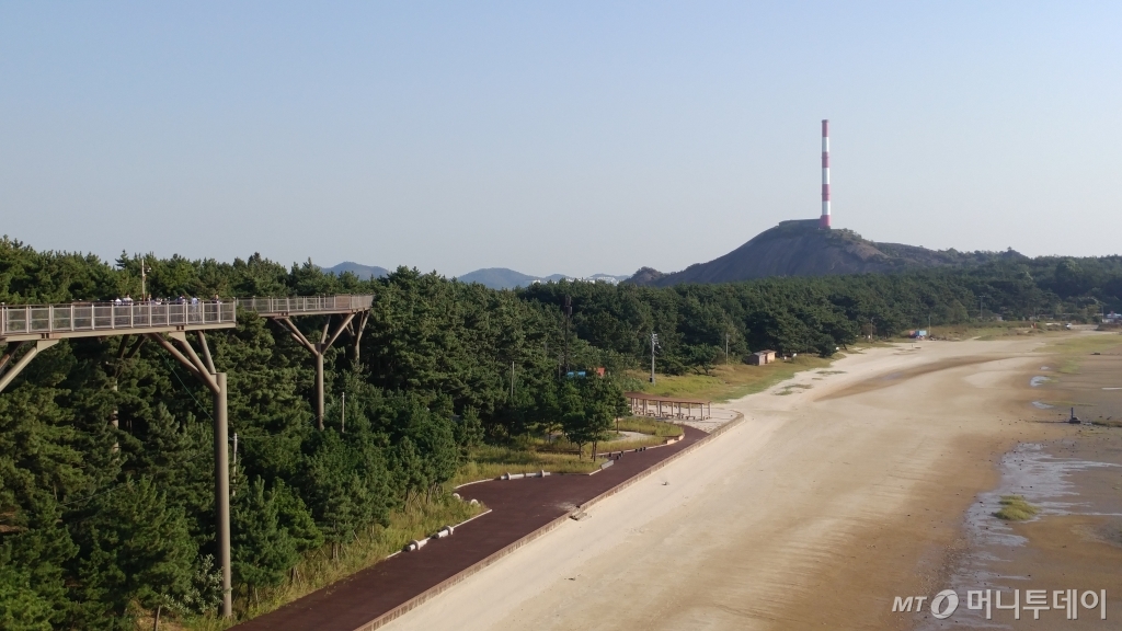 충남 서천군 장항읍 장항제련소 굴뚝과 송림숲 일대 모습 /사진=정혜윤 기자.