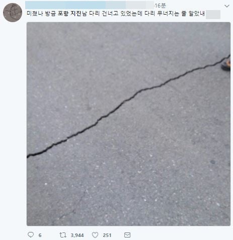 15일 오후 2시29분 지진이 발생한 포항. 포항에서 다리를 건너다가 지진을 느꼈다는 한 시민의 게시물. /사진=트위터 캡처