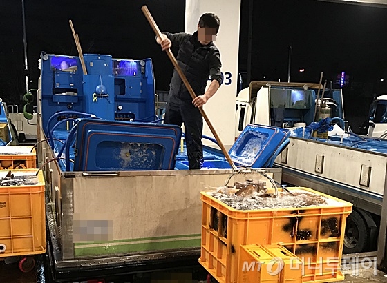 서울 동작구 노량진 수산시장에서 출하자가 경매를 위해 차량에서 활어를 내리고 있다. /사진=신현우 기자