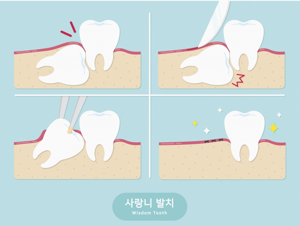 /사진=이미지투데이