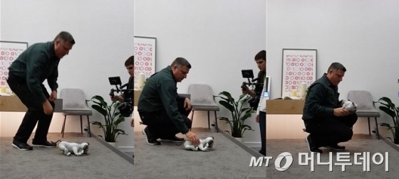 지난 1월 미국 라스베이거스 컨벤션 센터(LVCC) 노스홀에 위치한 소니 부스의 한켠에 마련된 인공지능 로봇 반려견 아이보(aibo)의 시연 도중 또 다시 시스템이 아웃되는 일이 생기자, 현장 직원이 아이보를 재부팅하는 듯한 동작을 하고 있다/사진=오동희 기자