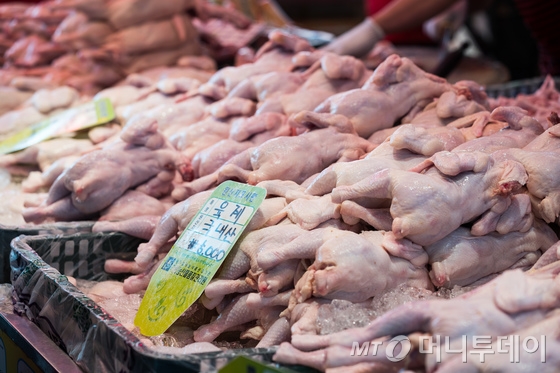 서울 경동시장 내 닭고기 도매상점에 생닭이 진열돼 있다. 2017.9.3/뉴스1  <저작권자 © 뉴스1코리아, 무단전재 및 재배포 금지>