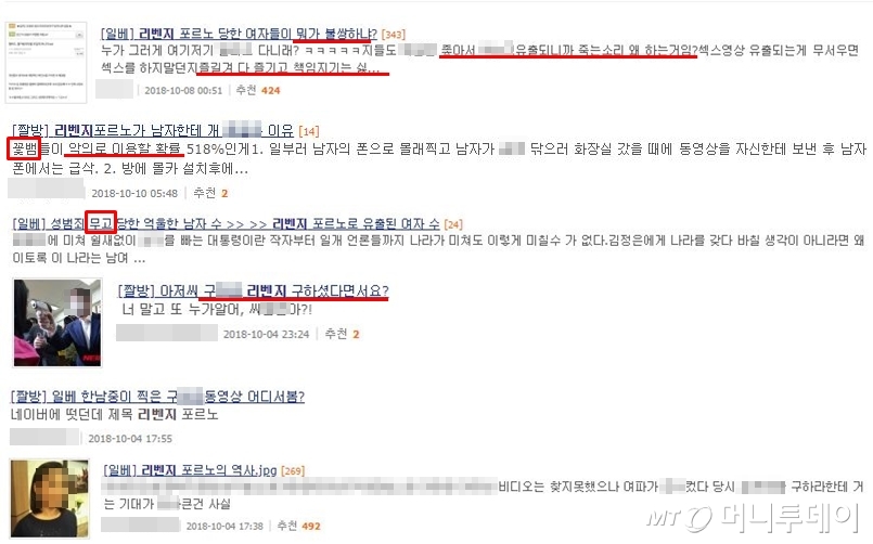 일베에서 '리벤지'라고 검색하자 나온 결과물. /사진=커뮤니티 사이트 캡처