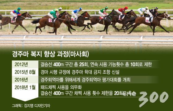 채찍은 본래 인간과 말의 의사소통을 위한 것이나, 높은 베팅이 걸린 경주마들은 과도한 채찍질의 대상이 된다.