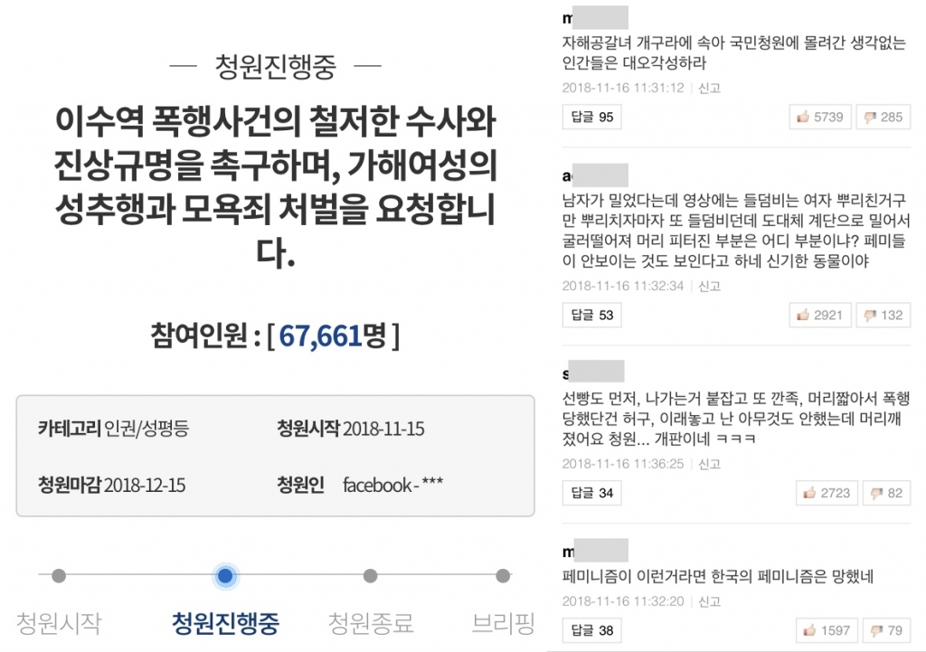 /사진=청와대 국민청원 페이지, 포털 사이트 댓글 캡처