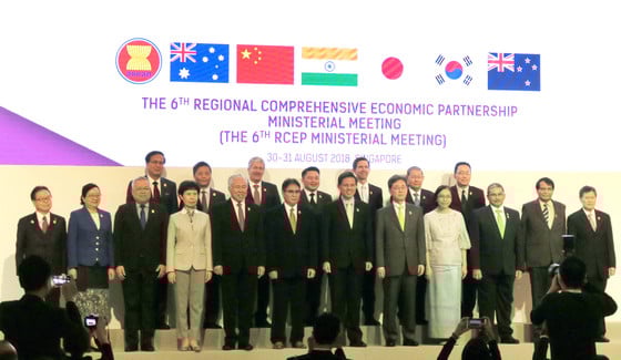 김현종 산업통상자원부 통상교섭본부장이 지난 8월 31일 싱가포르 샹그릴라 호텔에서 열린 '제6차 역내포괄적경제동반자협정(RCEP) 경제장관회의'에 참석해 기념촬영을 하고 있다. /사진=산업통상자원부