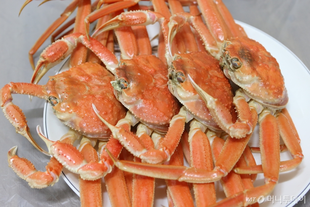 울산 후포항 대게/사진=머니투데이 사진DB