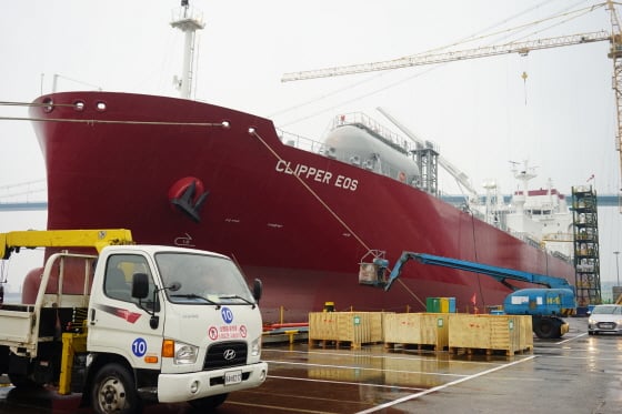 31일 울산 현대미포조선에 선주에게 곧 인도될 LEG(액화에틸렌) 운반선 한 척이 정박해 있다./사진=안정준 기자