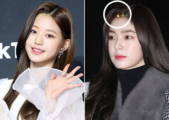 그룹 아이즈원 장원영, 레드벨벳 아이린/사진=머니투데이 DB, 뉴스1