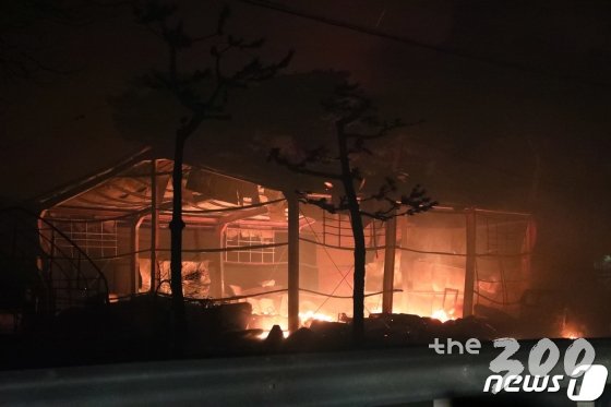 (고성=뉴스1) 고재교 기자 = 강원 고성에서 4일 오후 발생한 산불이 강풍을 타고 속초까지 번지고 있다. 고성군 토성면 일원 한 건물이 불에 타고 있다. 2019.4.5/뉴스1  <저작권자 © 뉴스1코리아, 무단전재 및 재배포 금지> / 사진=(고성=뉴스1) 고재교 기자