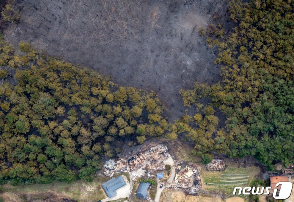 강원지역 산불 발생 사흘째인 6일 강원도 강릉시 옥계면의 야산이 불에 타 있다./사진=뉴스1