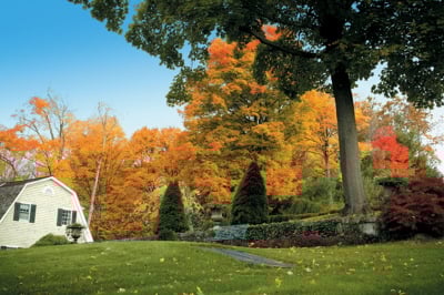 조양호 회장이 미국 코네티컷에서 촬영한 사진. 2006년 10월 달력의 배경으로 활용됐다./사진제공=한진그룹