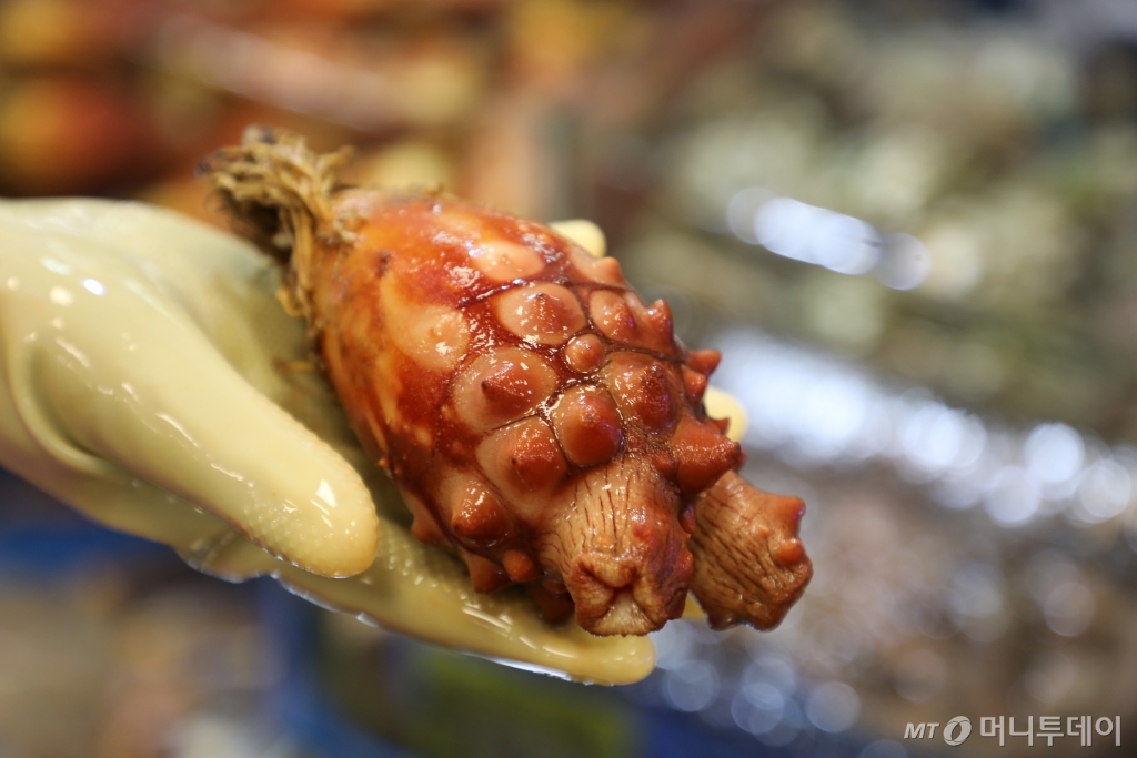 멍게회/사진=머니투데이