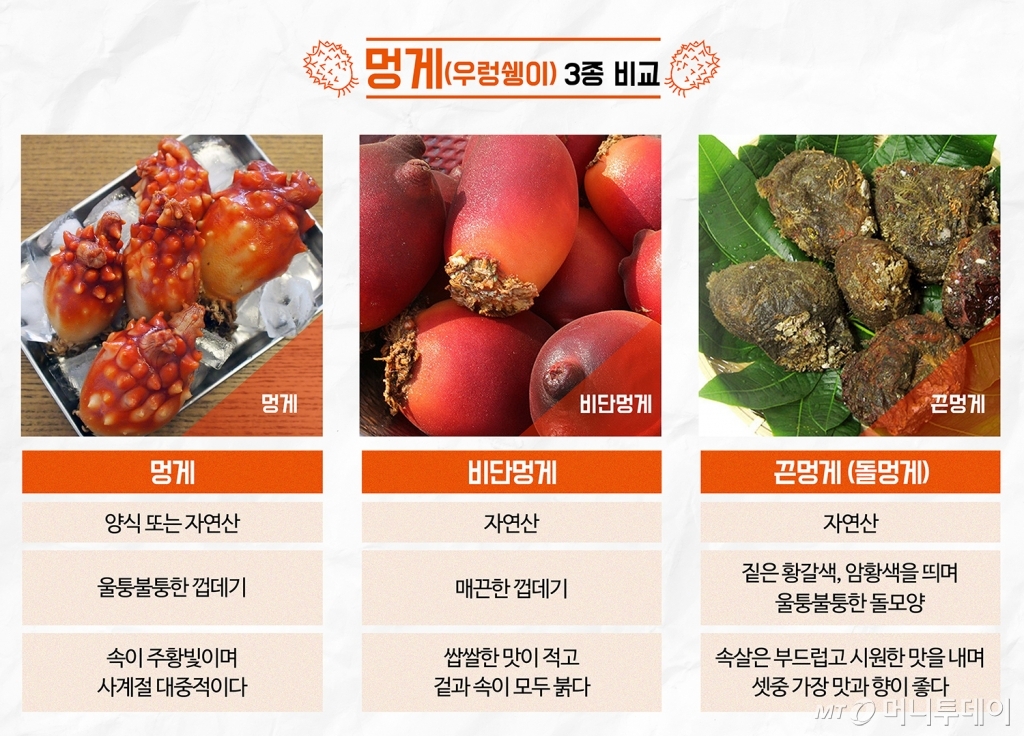 멍게(우렁쉥이)/사진=머니투데이