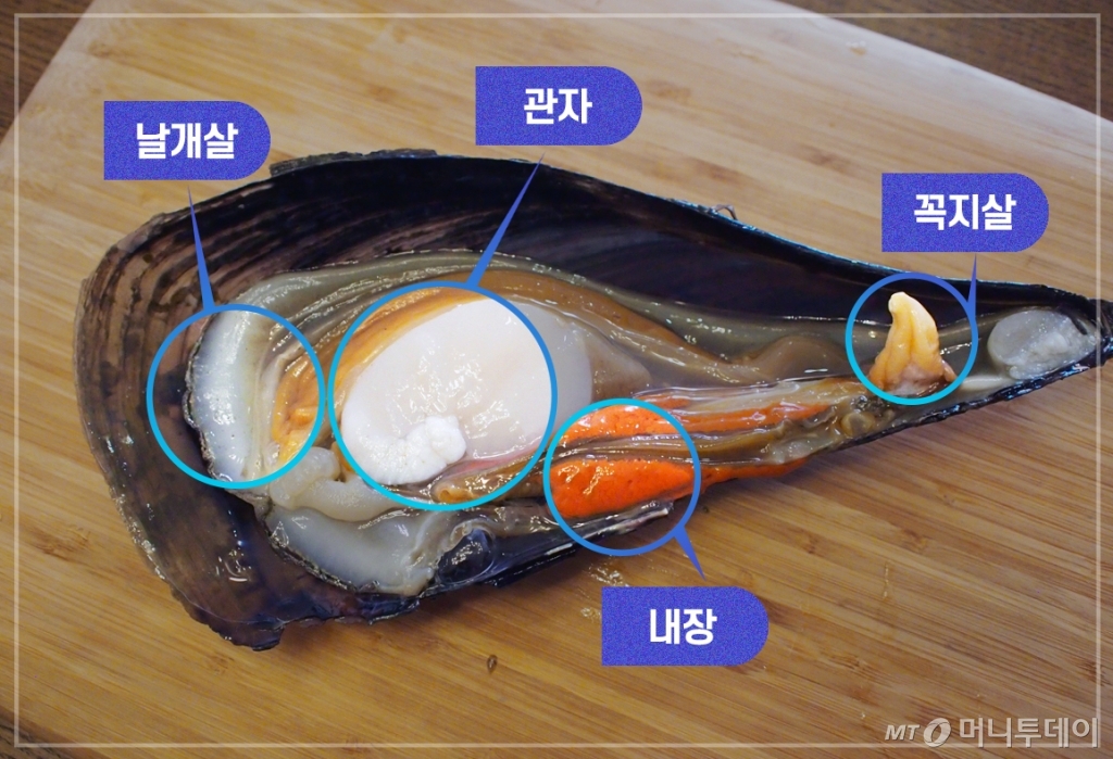 키조개 구분/디자인= 유연수 디자이너