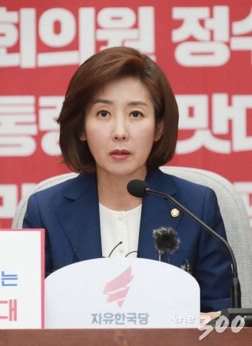 나경원 자유한국당 원내대표 / 사진=이동훈 기자 photoguy@