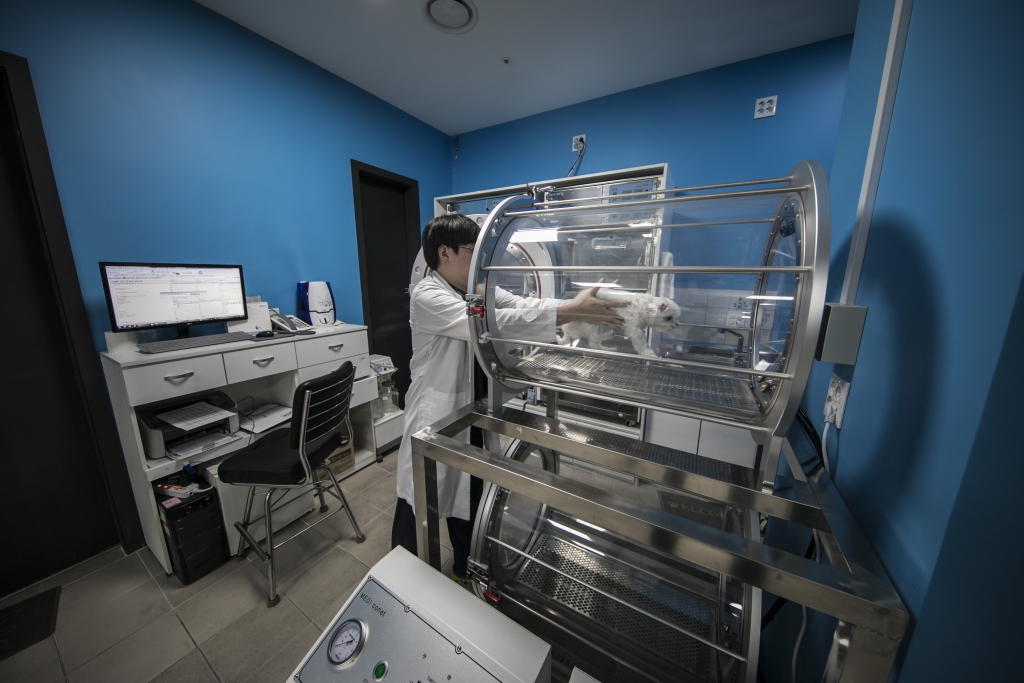 로얄동물메디컬센터 수의사가 고압산소치료기를 이용해 개를 치료하고 있다./사진=로얄동물메디컬센터