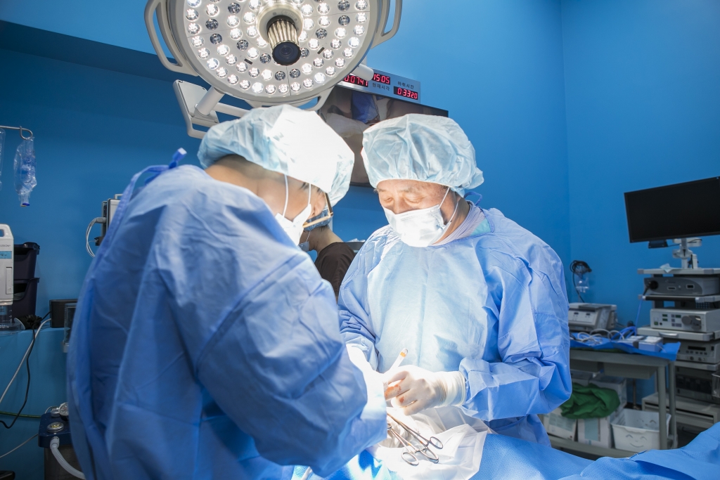로얄동물메디컬센터에서 수의사들이 동물을 수술하고 있다./사진=로얄동물메디컬센터