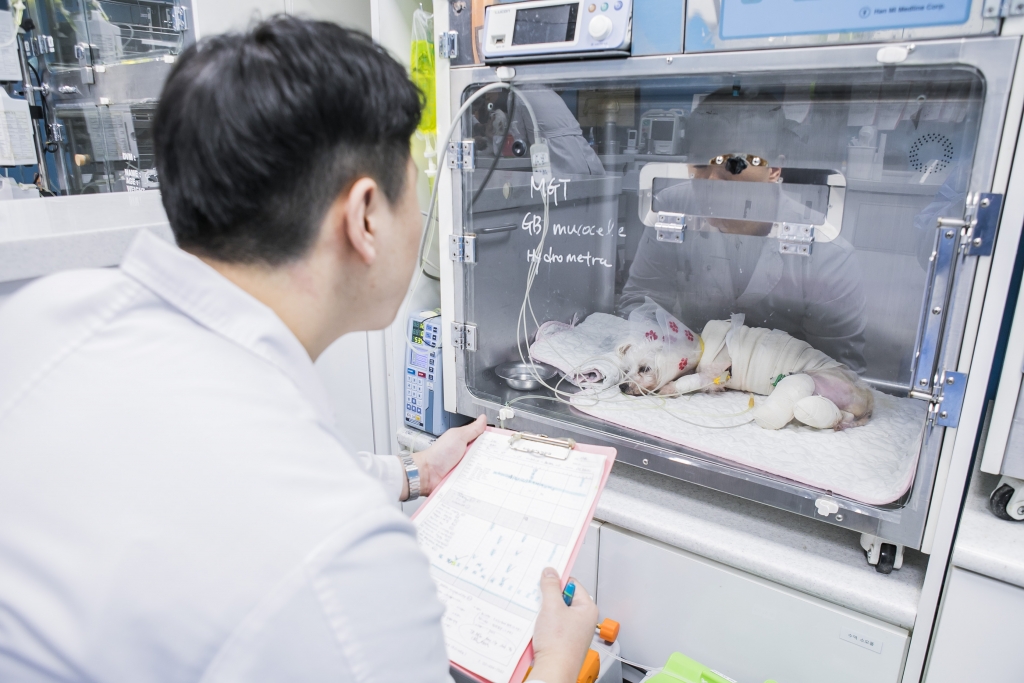 로얄동물메디컬센터 응급·집중치료실/사진=로얄동물메디컬센터