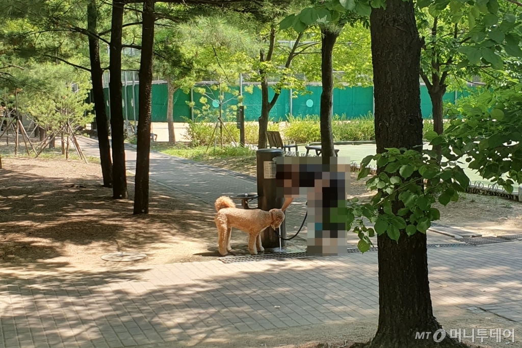 5일 오전 서울 성수구 서울숲에서 한 견주가 반려견과 산책을 하다 물을 주고 있다./사진=한민선 기자
