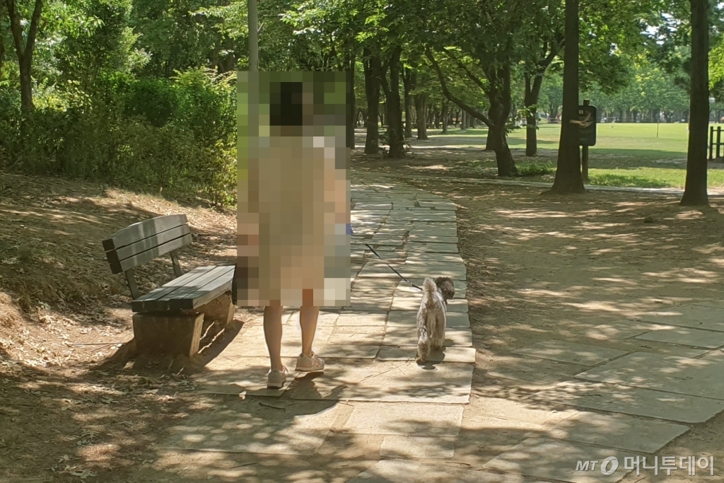 5일 오전 서울 성수구 서울숲에서 한 견주가 반려견과 산책을 하고 있다./사진=한민선 기자