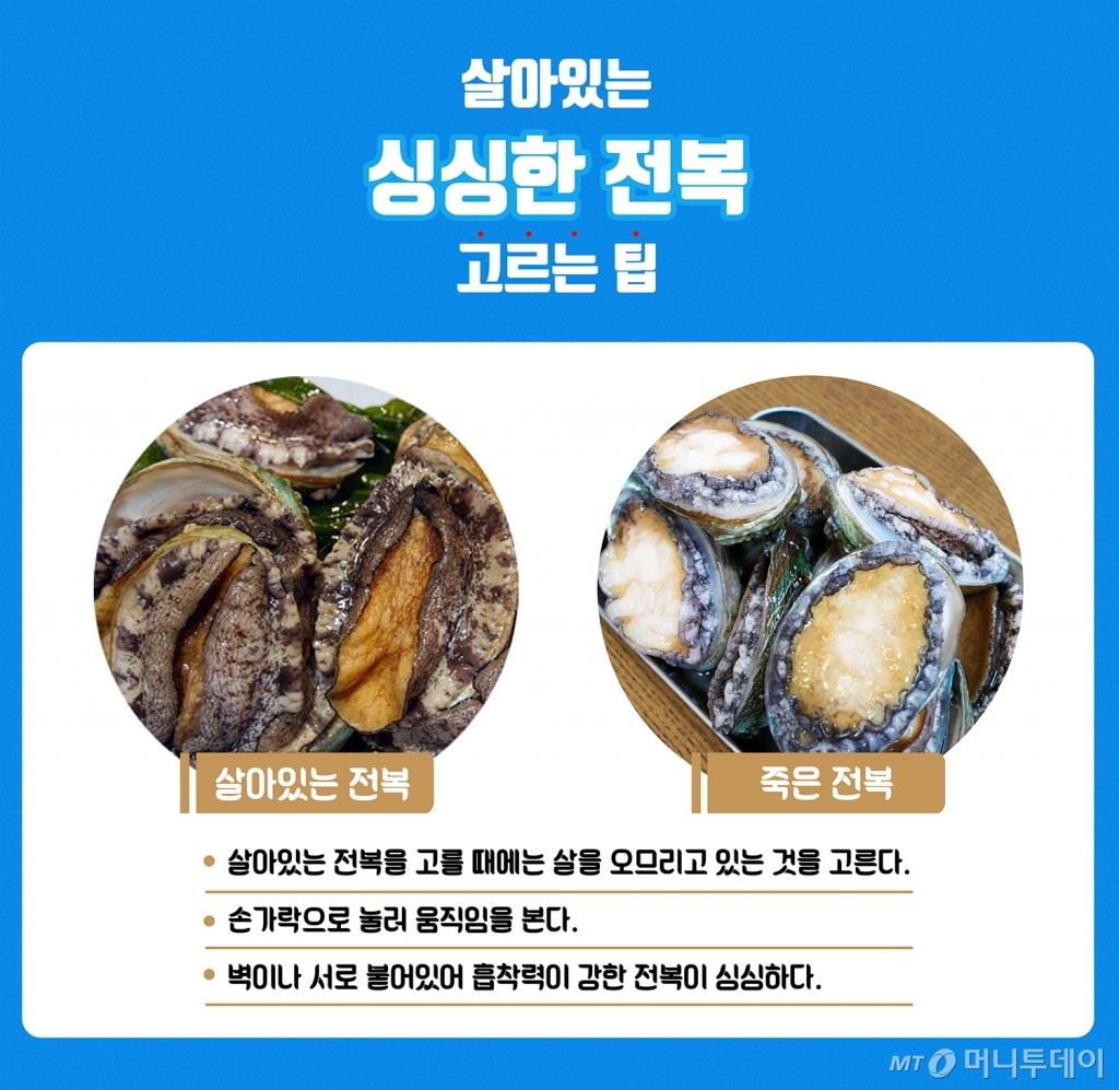 싱싱한 전복 구별법/디자인=유연수디자이너