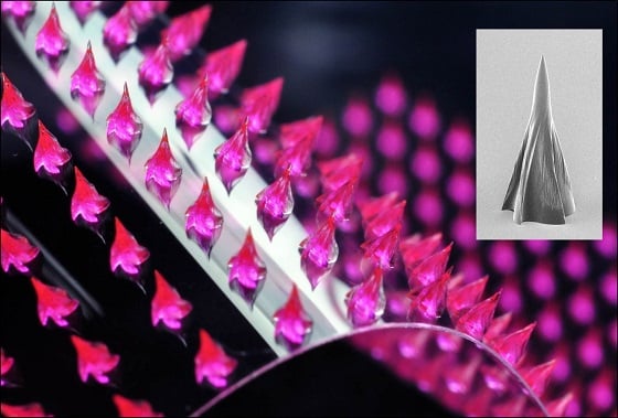 실제 제작된 독사 어금니 모사 약물전달패치 확대 모습/그림=숭실대