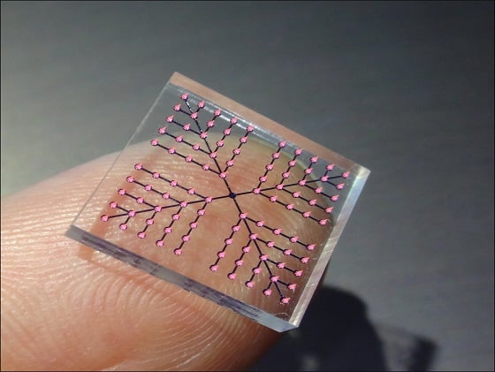 실제 제작된 독사 어금니 모사 약물전달패치 사진/사진=숭실대