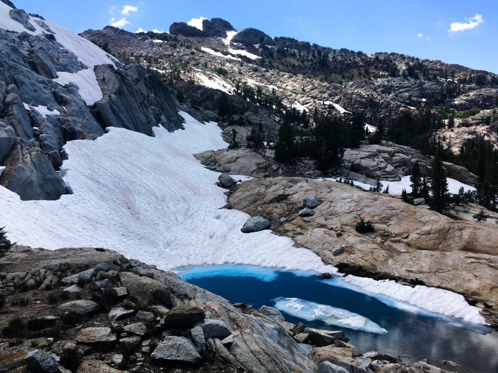 미국 캘리포니아주 요세미티 국립공원 고지대에 쌓여 있는 눈이 분홍빛을 띠고 있다. /사진=요세미티 국립공원 트위터
