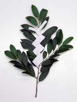 다마구시/사진=플리커