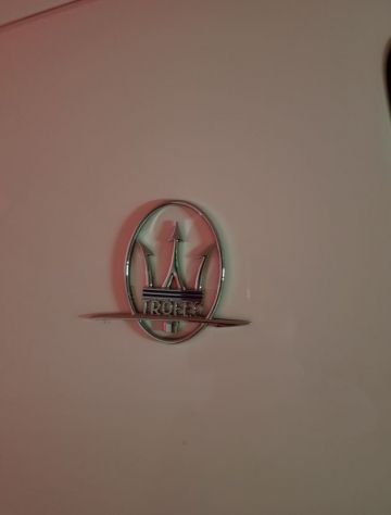 C필러에 부착된 트로페오 배지/사진=장시복