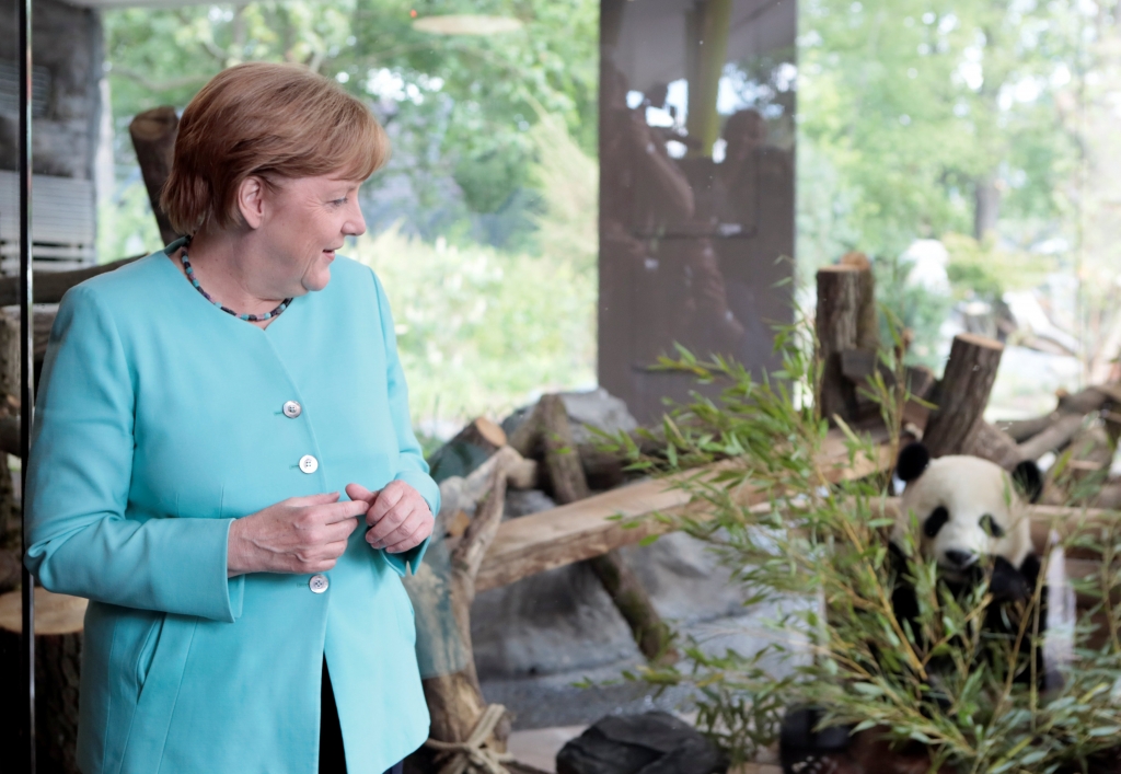 2017년 7월 5일(현지시간) 중국이 장기 대여한 판다를 바라보는 앙겔라 메르켈 독일 총리 /사진=AFP