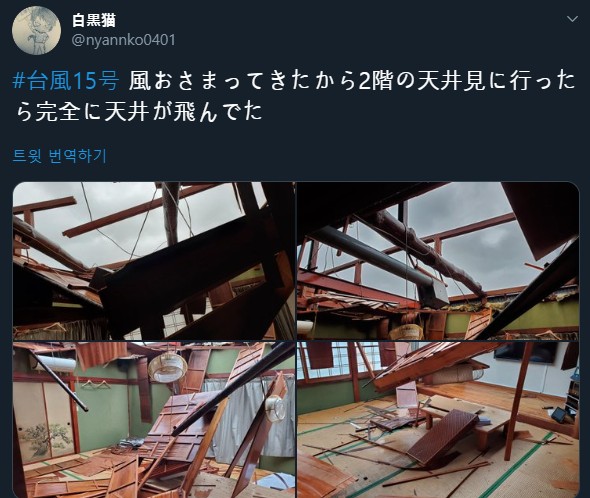 /사진=트위터