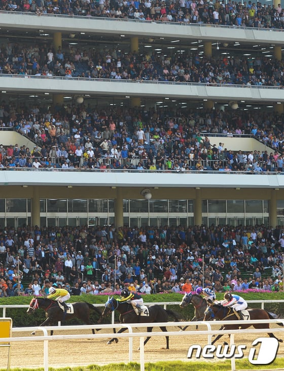 2015년 6월 21일 오후 경기도 과천시 렛츠런파크를 가득 메운 관중들이 경주를 관전하고 있다. / 사진 = 뉴스 1