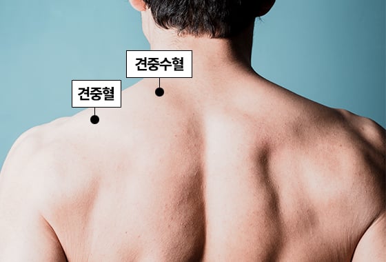 뭉친 어깨 마사지 포인트, 견중수혈과 견중혈./사진=이미지투데이, 그래픽=이은 기자