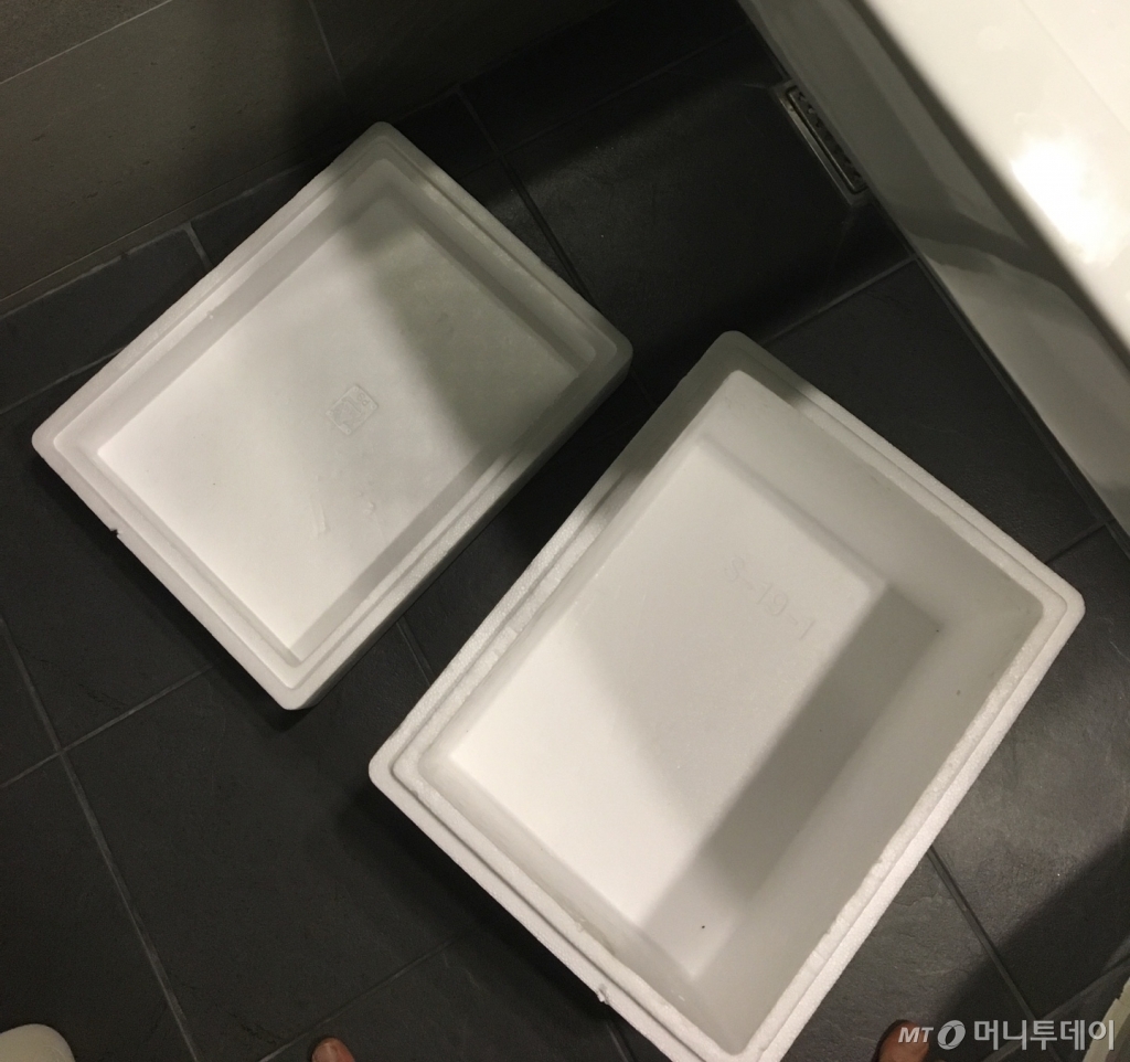 스티로폼 상자를 구해, 깨끗하게 씻었다. 엄지발꼬락이 살짝 나왔다./사진=남형도 기자