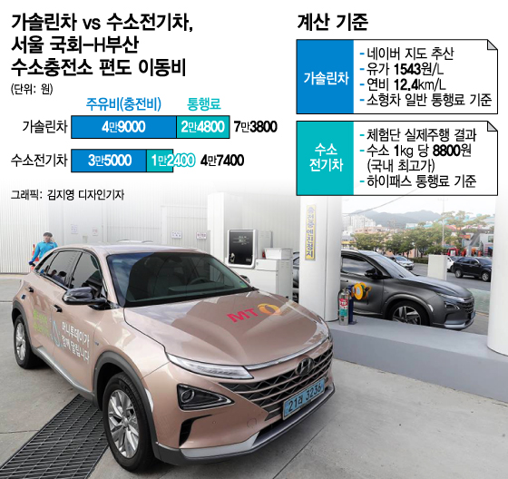 그래픽 김지영 디자인기자