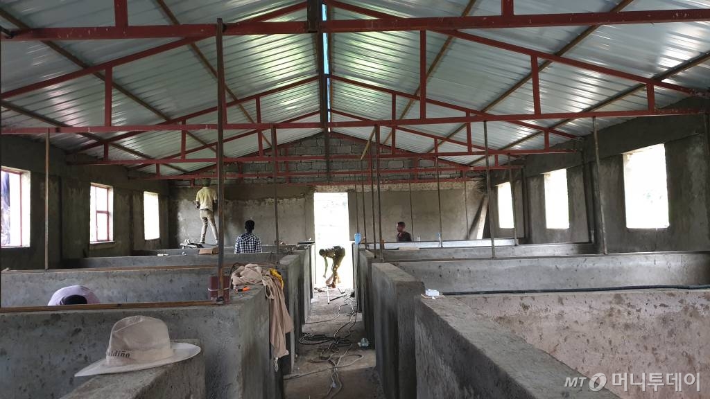 에티오피아 KOPIA센터에서 진행하고 있는 여성농업인 육성을 위한 복합영농 시범사업을 위한 양계장 모습 / 사진제공=티