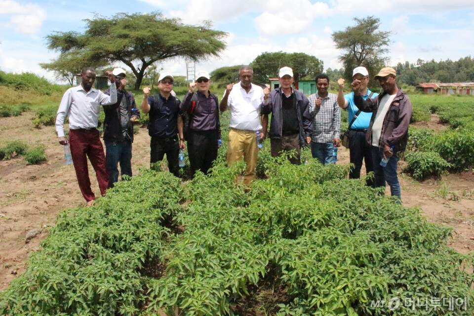 에티오피아 KOPIA센터 배도함 소장이 지난 2일 아디스아바바 인근 시험장에서 EIAR 관계자들과 함께 화이팅을 외치고 있다./사진=농촌진흥청