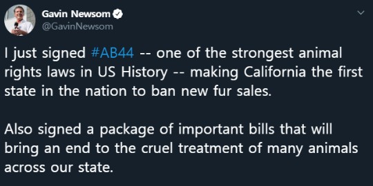 /사진=개빈 뉴섬 미국 캘리포니아 주지사 트위터