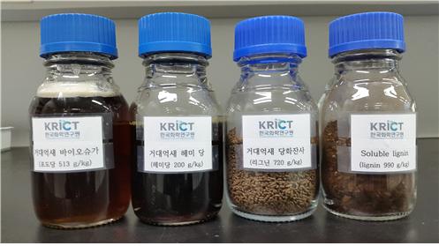 바이오슈가 및 부산물 견본/사진=화학연