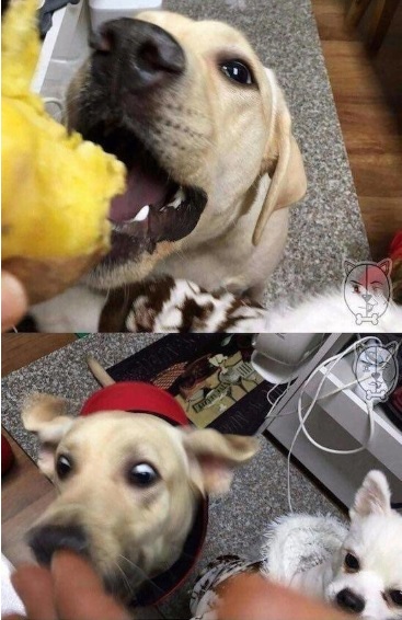 '군고구마의 위력'이라는 제목으로 온라인 커뮤니티에 올린 누리꾼의 글. / 사진 = 온라인 커뮤니티 캡쳐