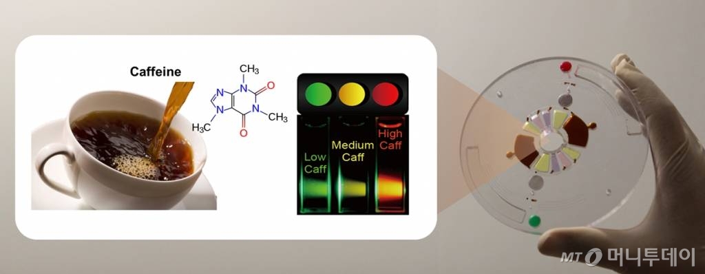 커피·탄산음료 카페인 농도 측정 간편해진다_연구그림/제공=UNIST / 사진제공=1