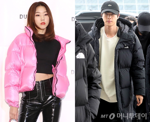 모델 한혜진, 그룹 방탄소년단(BTS) 진 /사진=뉴스1, 머니투데이 DB