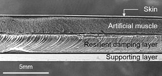 가오리 지느러미를 모사한 움직이는 표면의 구조/사진=UNIST