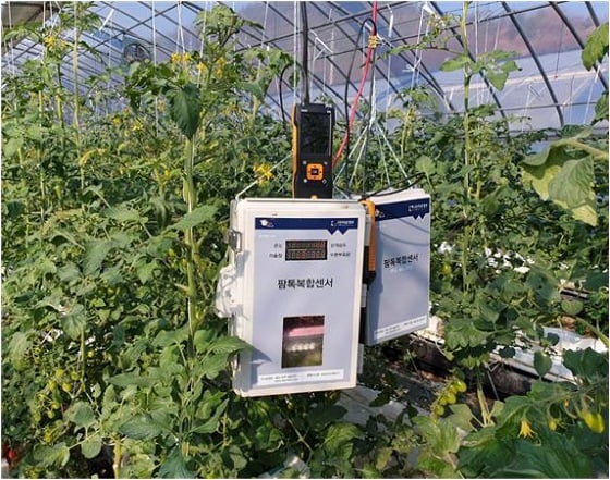 부산 아이오티플렉스의 콜드체인 물류차 통합관제시스템 개념도/사진=아이오티플렉스